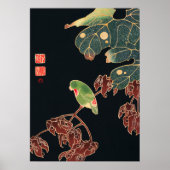 Jakuchu - De Paroquet Poster (Voorkant)