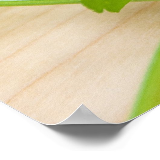 Jalapenos, Cherry Tomaten en Cilantro, vers Poster (Hoek)