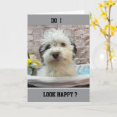 JALOERSE PUPPY WENST ONS "GELUKKIGE VERJAARDAG" KAART (Gele Bloem)