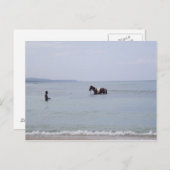 Jamaica briefkaart (Voorkant / Achterkant)