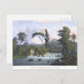 Jamaica Cabarita, Westmoreland Briefkaart (Voorkant / Achterkant)