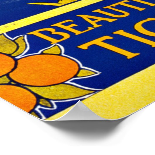 Jamaica Caribbean Zee Vintage Travel Poster (Hoek)