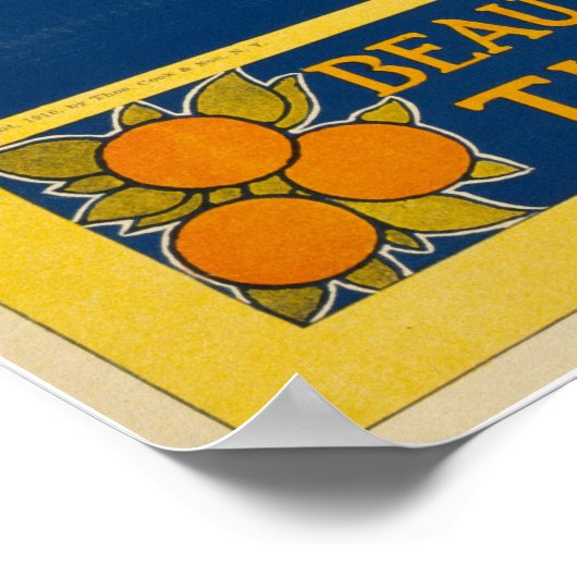 Jamaica de kiem van de tropen poster (Hoek)