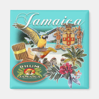 jamaica magneet
