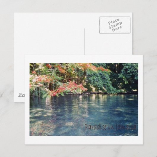 Jamaica Paradise Briefkaart (Voorkant / Achterkant)