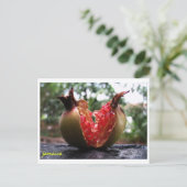 Jamaica Pomegranate Briefkaart (Staand voorkant)