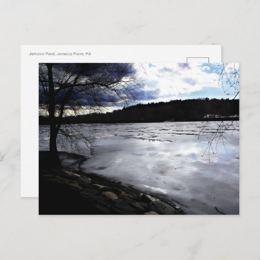 Jamaica Pond, Jamaica Plains, bevroren Briefkaart (Voorkant / Achterkant)