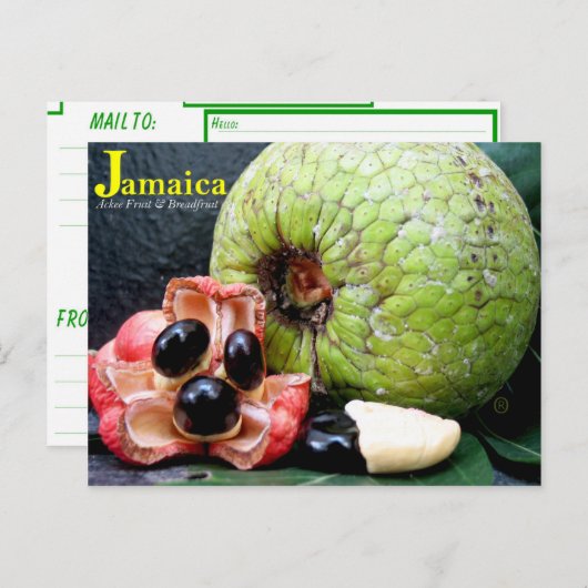 Jamaicaan Breadfruit en Ackee Fruit 2k17 Briefkaart (Voorkant / Achterkant)