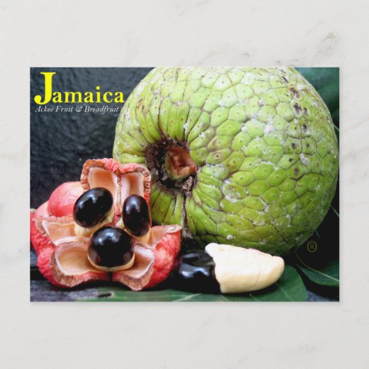 Jamaicaan Breadfruit en Ackee Fruit 2k17 Briefkaart (Voorkant)