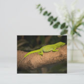 Jamaicaanse gigantische anole briefkaart (Staand voorkant)