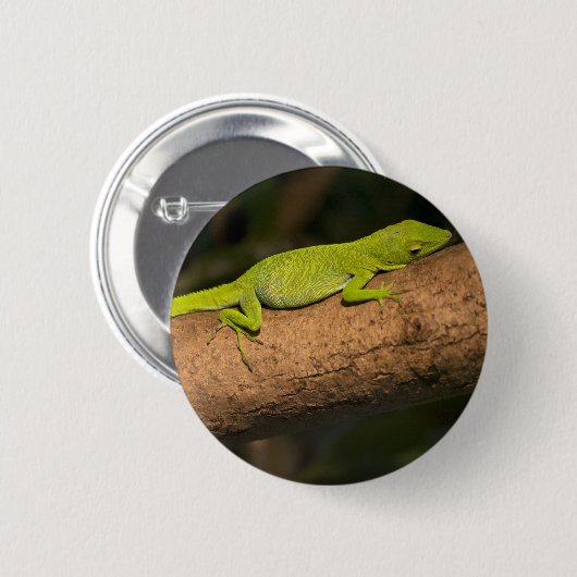 Jamaicaanse gigantische anole ronde button 5,7 cm (Voorkant /achterkant)
