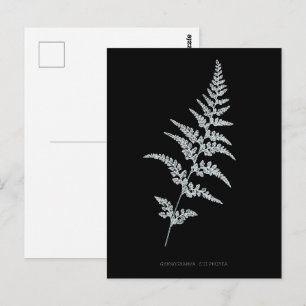 Jamaicaanse Goudrugvaren, Gymnogramma Sulphurea Briefkaart