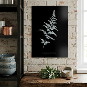 Jamaicaanse Goudrugvaren, Gymnogramma Sulphurea Poster