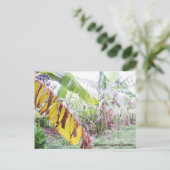 Jamaicaanse Landtuin Briefkaart (Staand voorkant)