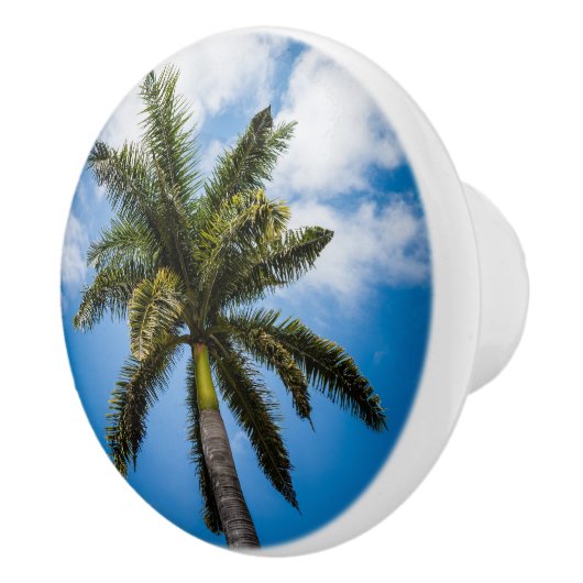 Jamaicaanse palmboom keramische knop (Rechts)