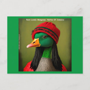 Jamaicaanse Vliegende Reggae Mangoest Gans Grappig Briefkaart
