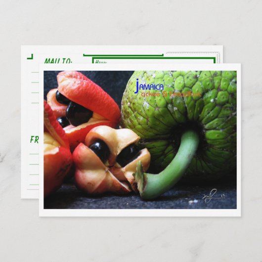 Jamaican Ackee Fruit and Breadfruit Briefkaart (Voorkant / Achterkant)