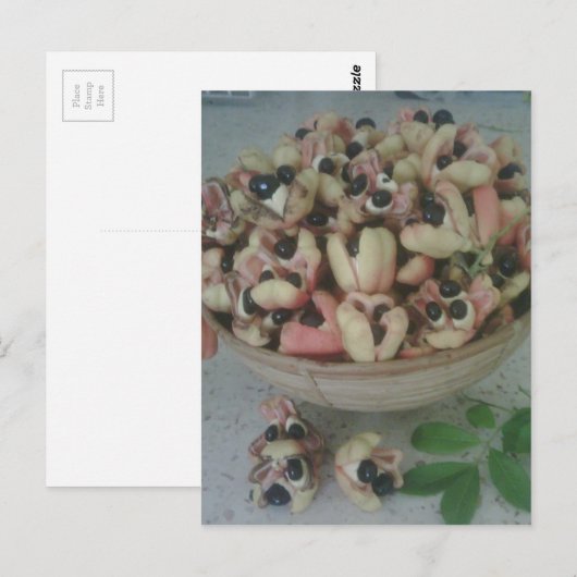 Jamaican Ackee Postcard Briefkaart (Voorkant / Achterkant)