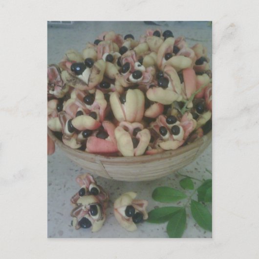 Jamaican Ackee Postcard Briefkaart (Voorkant)