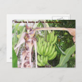 Jamaican Banana Man Briefkaart (Voorkant / Achterkant)