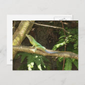 Jamaican Green Lizard Briefkaart (Voorkant / Achterkant)