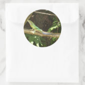 Jamaican Green Lizard Ronde Sticker (Tas)