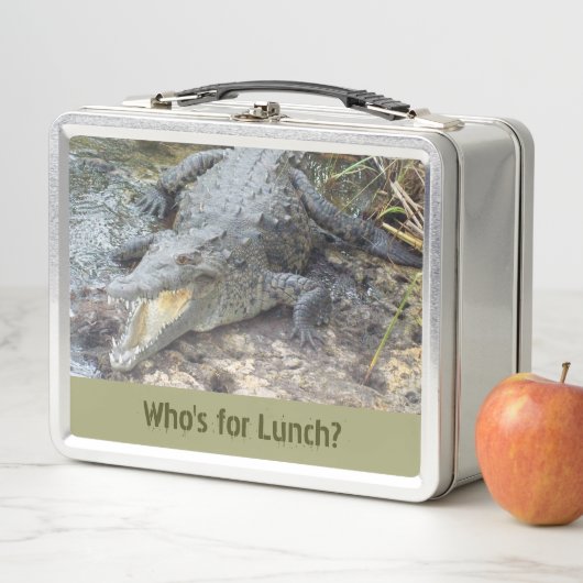 Jamaican Salt Water Crocodile (In situ)