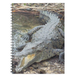 Jamaican Salt Water Crocodile Notitieboek
