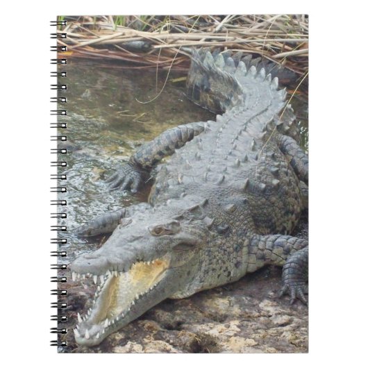 Jamaican Salt Water Crocodile Notitieboek (Voorkant)