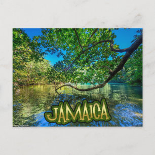Jamaica's blauwe lagune, Port Antonio Briefkaart