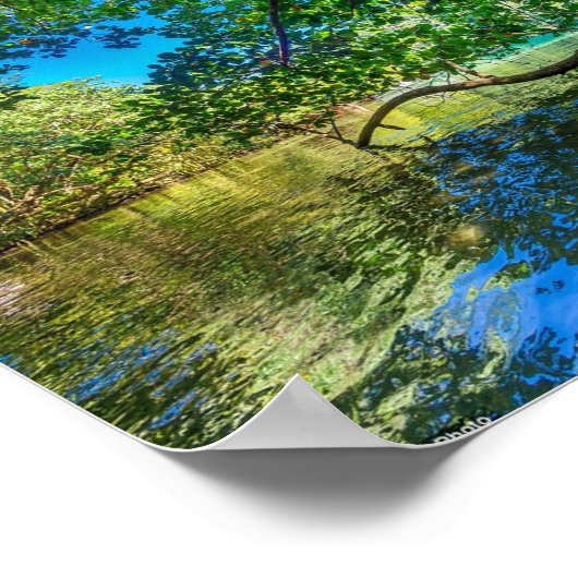 Jamaica's blauwe lagune, Port Antonio Poster (Hoek)