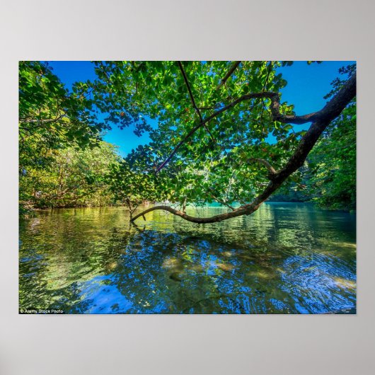 Jamaica's Blue Lagoon, Port Antonio Poster (Voorkant)