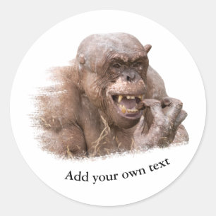 Jambo de haarloze Chimpansee Classic Round Sticke Ronde Sticker
