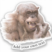 Jambo de haarloze Chimpansee Sticker (Voorkant)
