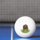 Jambo de unieke haarloze chimpansee pingpongbal (Net)