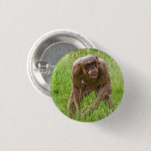 Jambo de unieke haarloze chimpansee ronde button 3,2 cm (Voorkant /achterkant)