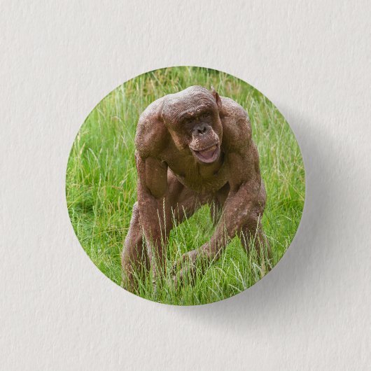 Jambo de unieke haarloze chimpansee ronde button 3,2 cm (Voorkant)