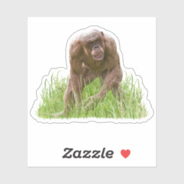 Jambo de unieke haarloze chimpansee sticker