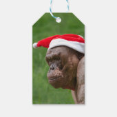 Jambo in een kerst Pet Cadeaulabel (Voorkant)