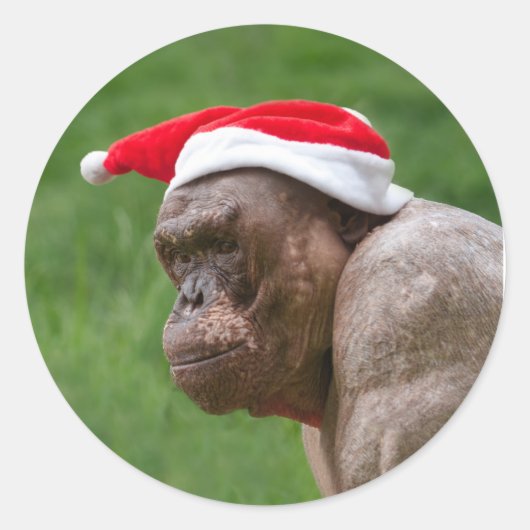 Jambo in een kerst Pet Ronde Sticker (Voorkant)