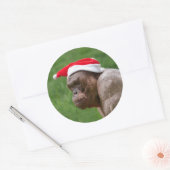 Jambo in een kerst Pet Ronde Sticker (Envelop)
