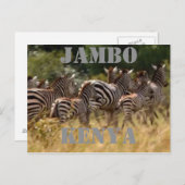 Jambo Kenya Zebra Migration Safari Briefkaarten (Voorkant / Achterkant)