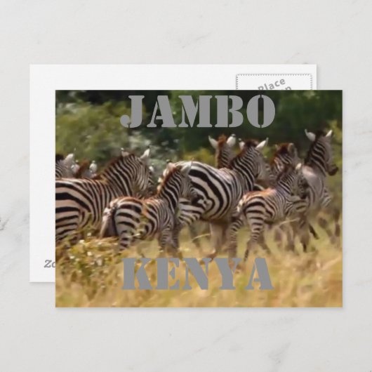 Jambo Kenya Zebra Migration Safari Briefkaarten (Voorkant / Achterkant)
