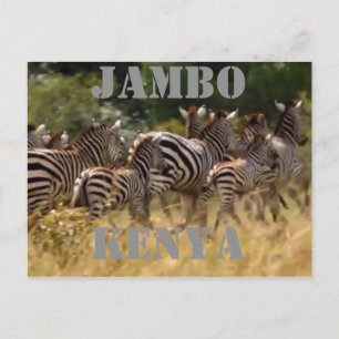 Jambo Kenya Zebra Migration Safari Briefkaarten