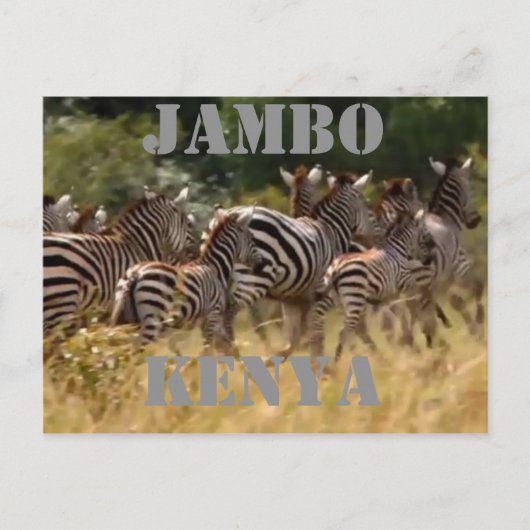 Jambo Kenya Zebra Migration Safari Briefkaarten (Voorkant)