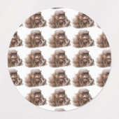 Jambo The Hairless Chimp (wijzig je eigen tekst) Labels (Design 1)