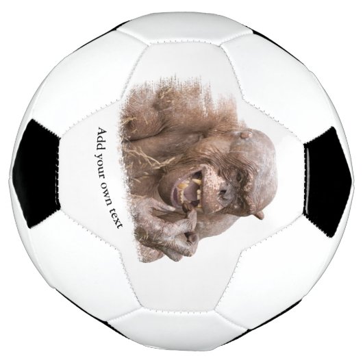 Jambo The Hairless Chimp (wijzig je eigen tekst) Voetbal (Gedraaid)