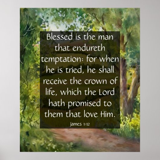 James 1:12 poster (Voorkant)