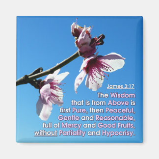 James 3v17 - Wisdom van boven Magneet
