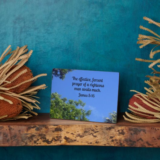 James 5:16 Het effectieve, fervent gebed... Fotoplaat (Zijkant)